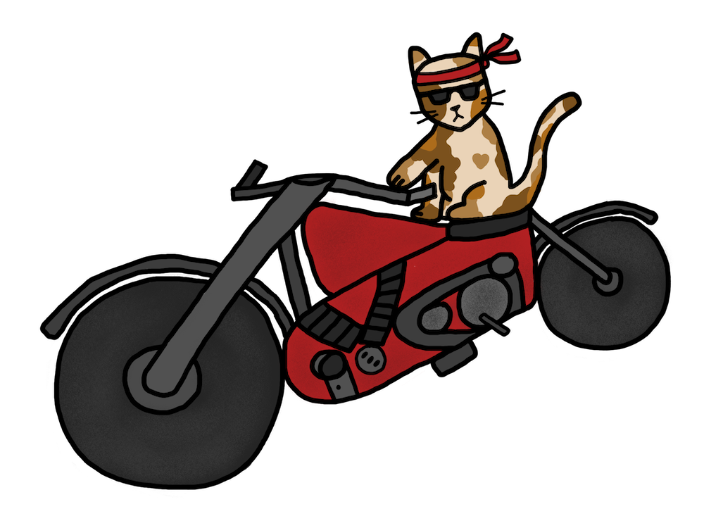 whiskers the biker cat