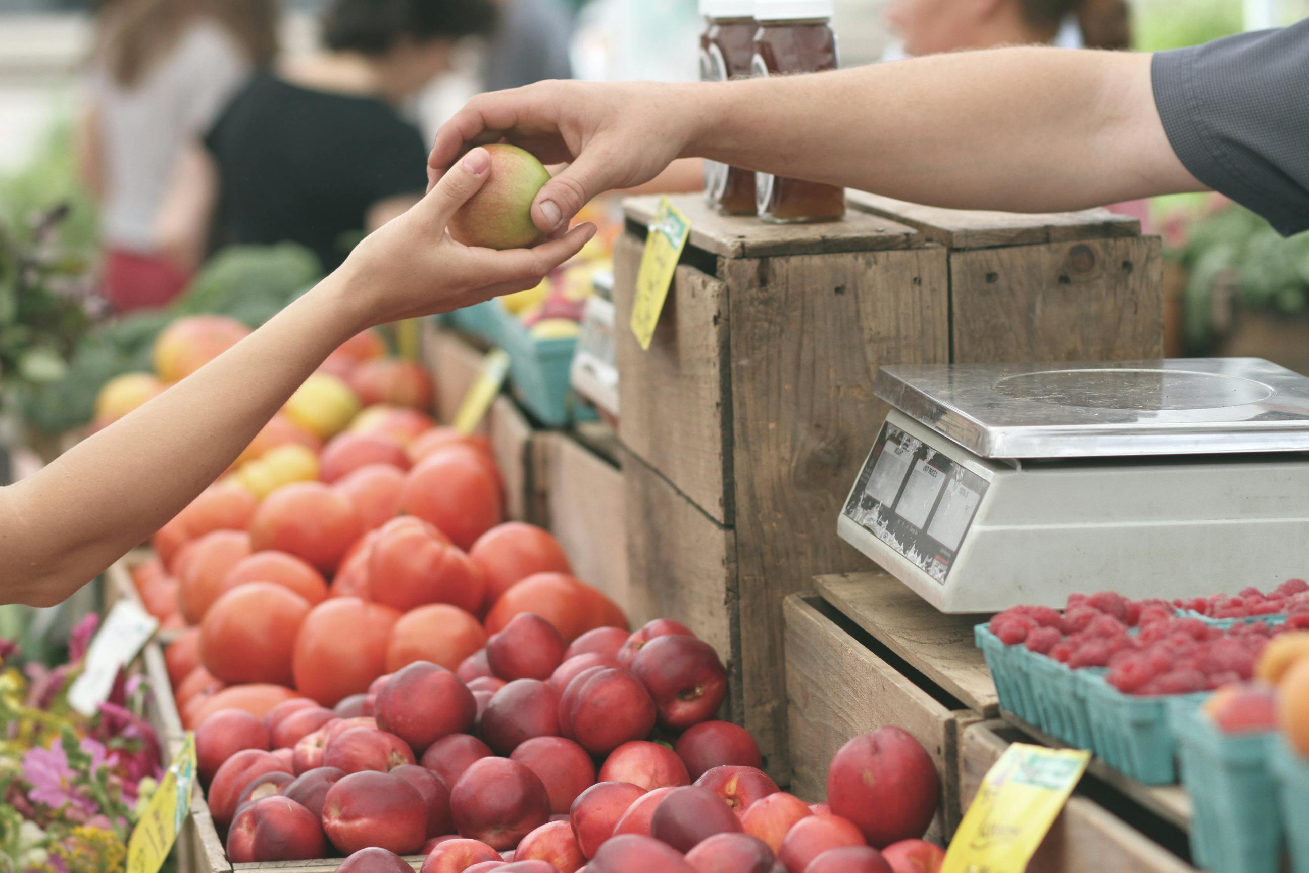 person giving food to another person